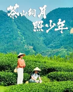 茶山侗月照少年