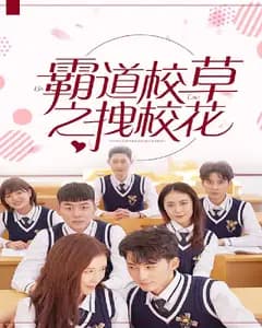 霸道校草拽校花