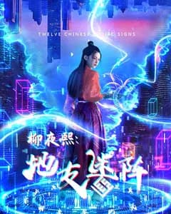 柳夜熙:地支迷阵