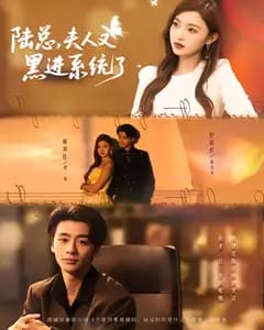 陆总,夫人又黑进系统了