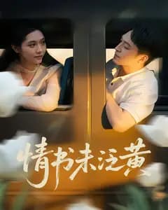 情书未泛黄