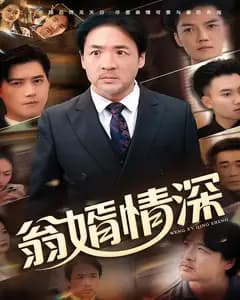 翁婿情深