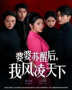 婆婆苏醒后,我凤凌天下