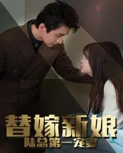 替嫁新娘:陆总的第一宠妻