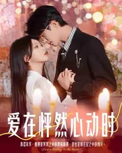 离职追妻