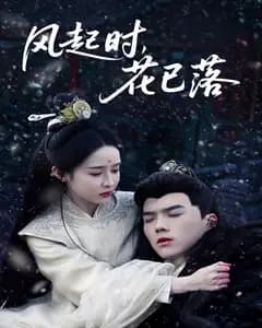 风起花落时