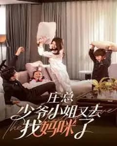 庄少寻妈记
