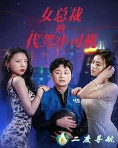 女总裁的代驾小司机