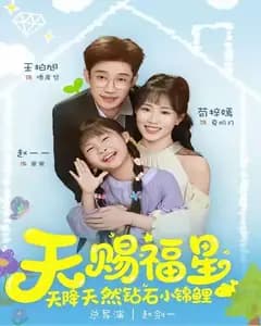 天赐钻石小锦鲤