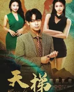 天梯短剧