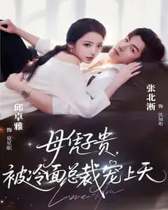 母凭子贵,被冷面总裁宠上天