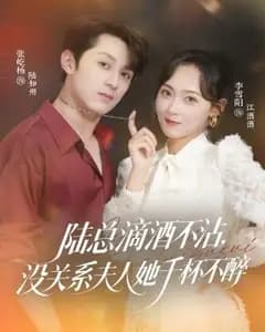 千杯夫人与禁酒总裁