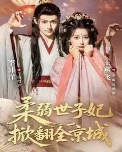 柔弱世子妃掀翻全京城