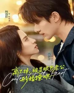 被显眼包形婚老公撩得离不掉