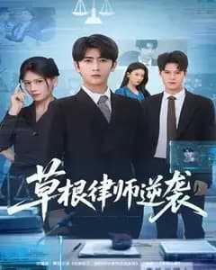 草根律师逆袭记