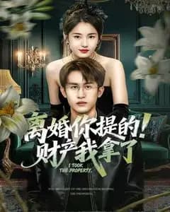 离婚由你,财产归我