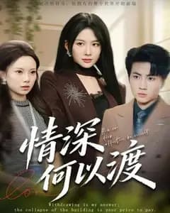 情深何以渡