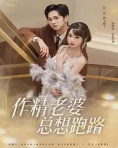 作精老婆总想跑路