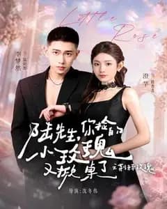 陆先生,你捡的小玫瑰又掀桌了之荆棘玫瑰