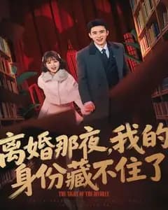 离婚那夜,我的身份藏不住了