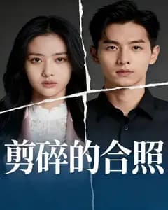 剪碎的合照完整版免费观看