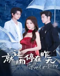 就让雨停在昨天完整版免费观看