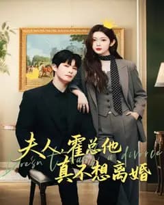 夫人,霍总他真不想离婚完整版免费观看