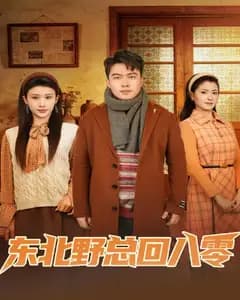 东北野总回八零完整版免费观看