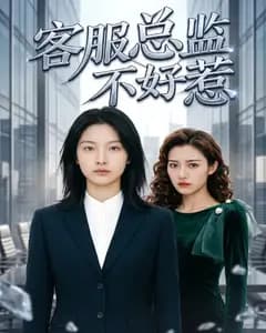客服总监不好惹完整版免费观看