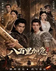 八百里加急完整版免费观看