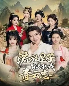 流放皇子,贤妻扶我青云志