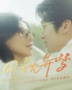 同枕异梦