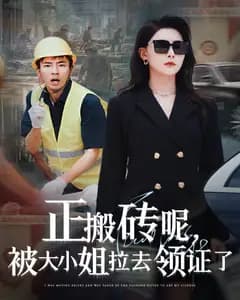 搬砖遇上大小姐