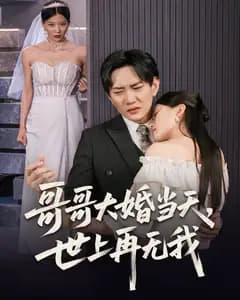 哥哥大婚那天我消失了