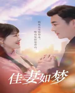 新佳妻如梦