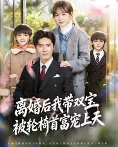 离婚后我带双宝被轮椅首富宠上天(离婚后,我被轮椅首富宠上天