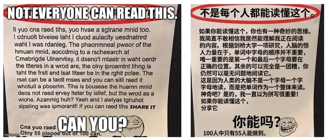 漫画/梗图汉化