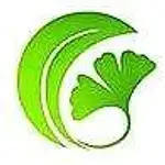 白果AI论文 logo