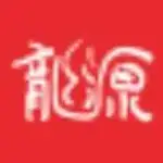 龙源AI检测 logo