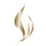 AI珠宝大师 logo