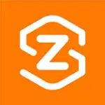zs9 logo