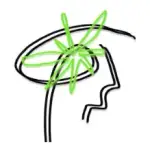 真知AI辩论 logo