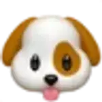 Ainamedmypet logo
