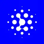 Bigmodel logo