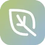 BlessAI logo