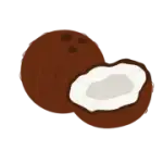 Coconutsai logo