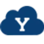 Ds logo