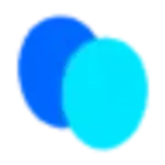 FaceSwapper logo