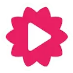 Fliki logo