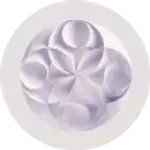 Ibm logo